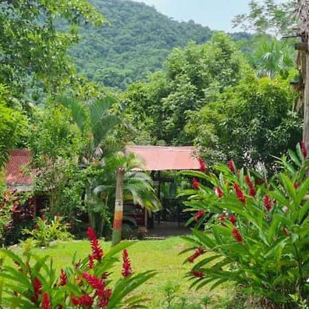 Eco Hostal Monolandia El Zaino Εξωτερικό φωτογραφία