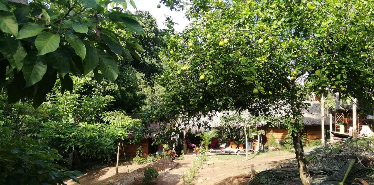 Eco Hostal Monolandia El Zaino Εξωτερικό φωτογραφία