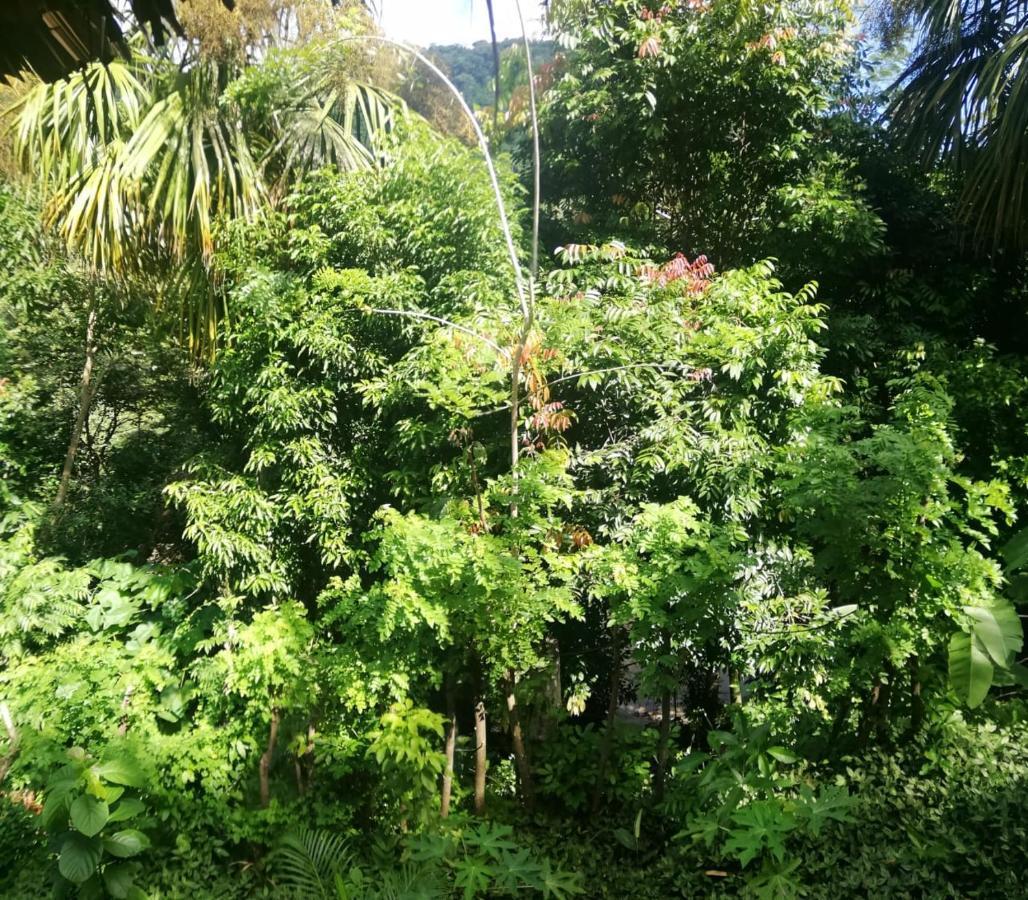 Eco Hostal Monolandia El Zaino Εξωτερικό φωτογραφία