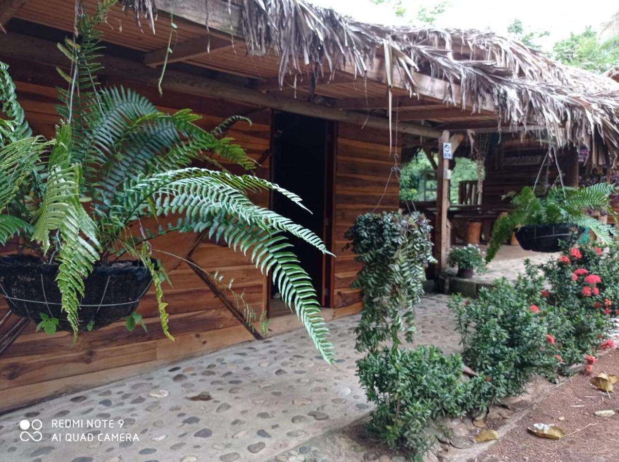 Eco Hostal Monolandia El Zaino Εξωτερικό φωτογραφία