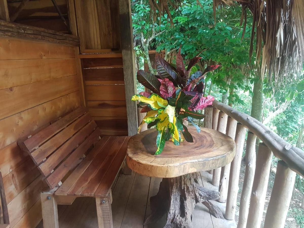 Eco Hostal Monolandia El Zaino Εξωτερικό φωτογραφία
