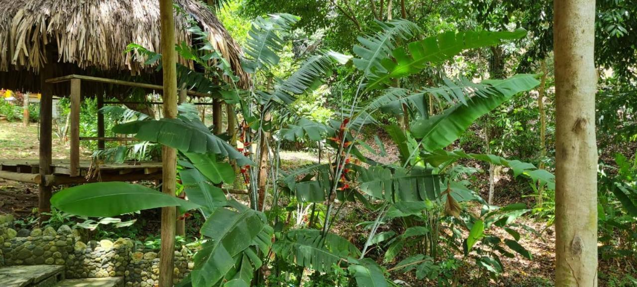 Eco Hostal Monolandia El Zaino Εξωτερικό φωτογραφία