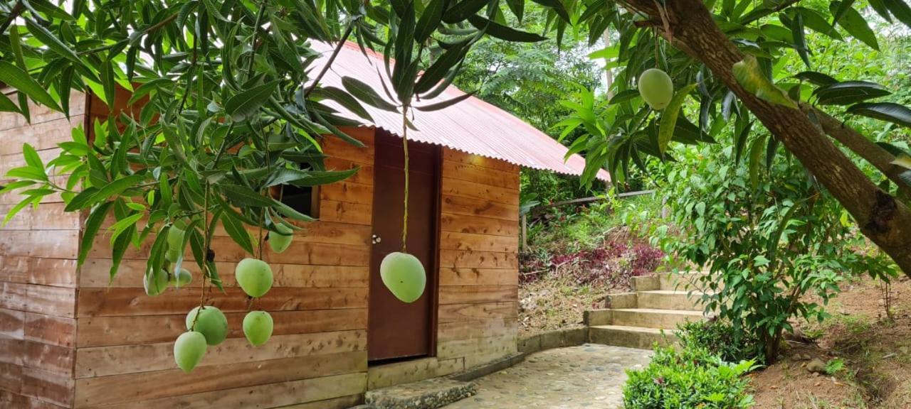 Eco Hostal Monolandia El Zaino Εξωτερικό φωτογραφία