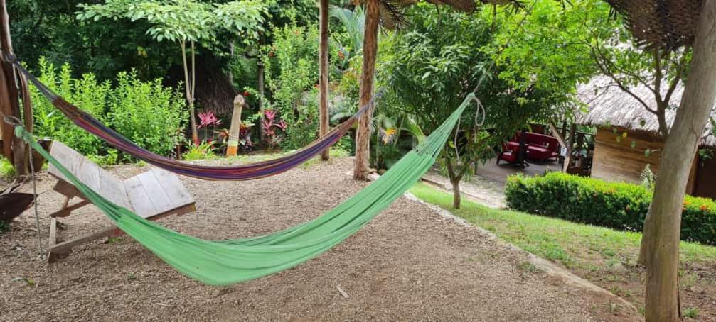 Eco Hostal Monolandia El Zaino Εξωτερικό φωτογραφία