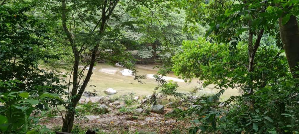 Eco Hostal Monolandia El Zaino Εξωτερικό φωτογραφία
