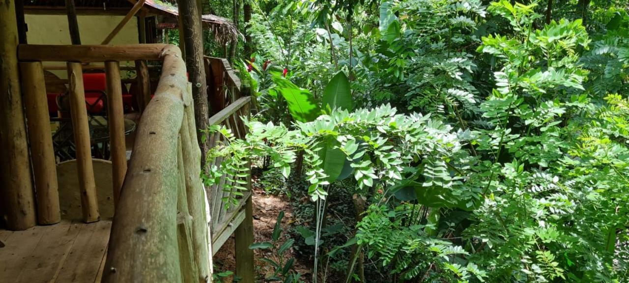 Eco Hostal Monolandia El Zaino Εξωτερικό φωτογραφία