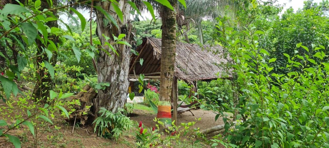 Eco Hostal Monolandia El Zaino Εξωτερικό φωτογραφία