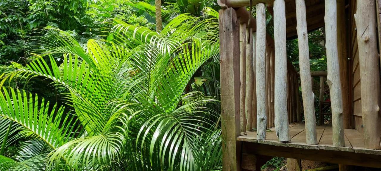 Eco Hostal Monolandia El Zaino Εξωτερικό φωτογραφία