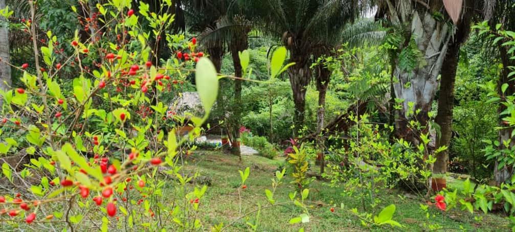 Eco Hostal Monolandia El Zaino Εξωτερικό φωτογραφία