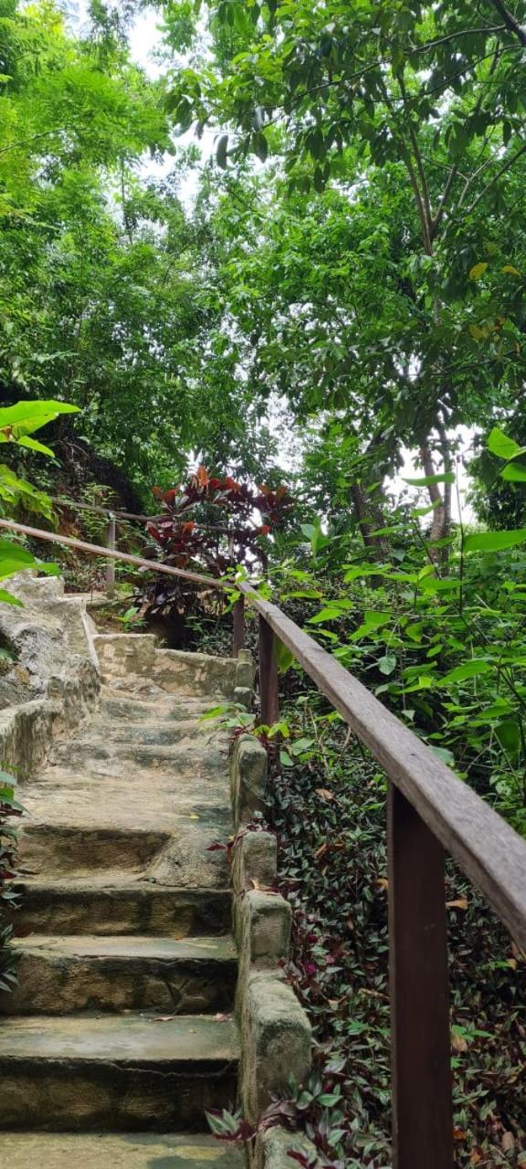 Eco Hostal Monolandia El Zaino Εξωτερικό φωτογραφία