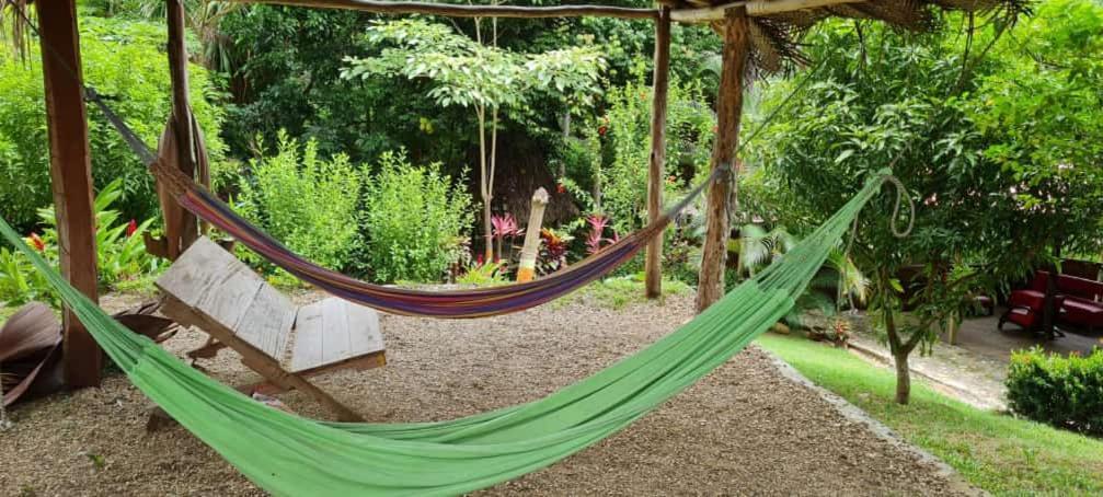 Eco Hostal Monolandia El Zaino Εξωτερικό φωτογραφία