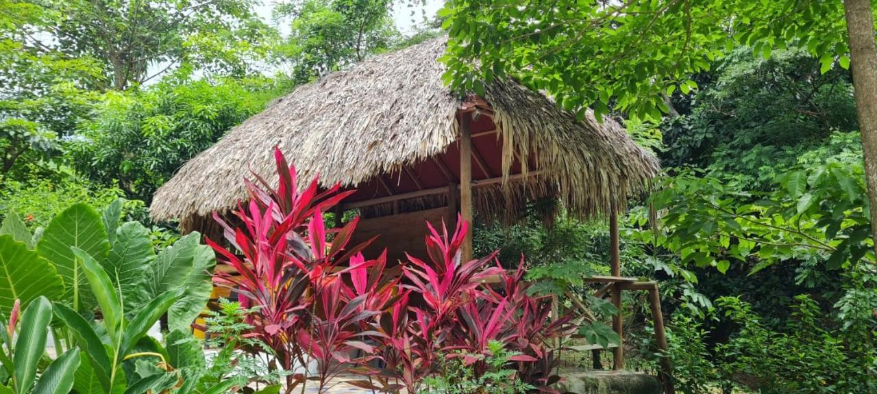 Eco Hostal Monolandia El Zaino Εξωτερικό φωτογραφία