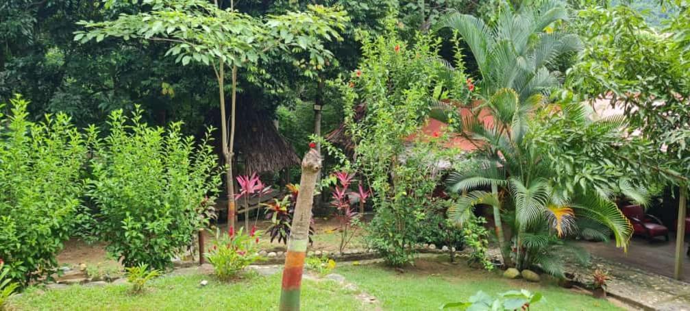 Eco Hostal Monolandia El Zaino Εξωτερικό φωτογραφία