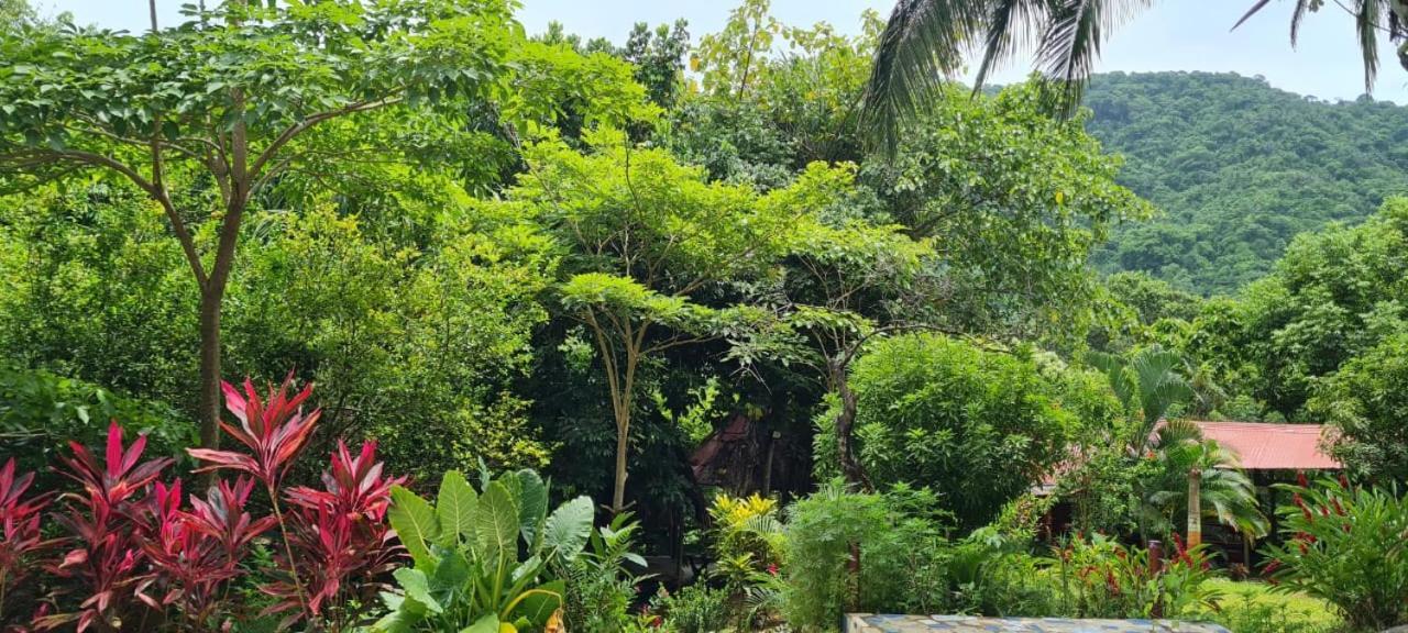 Eco Hostal Monolandia El Zaino Εξωτερικό φωτογραφία